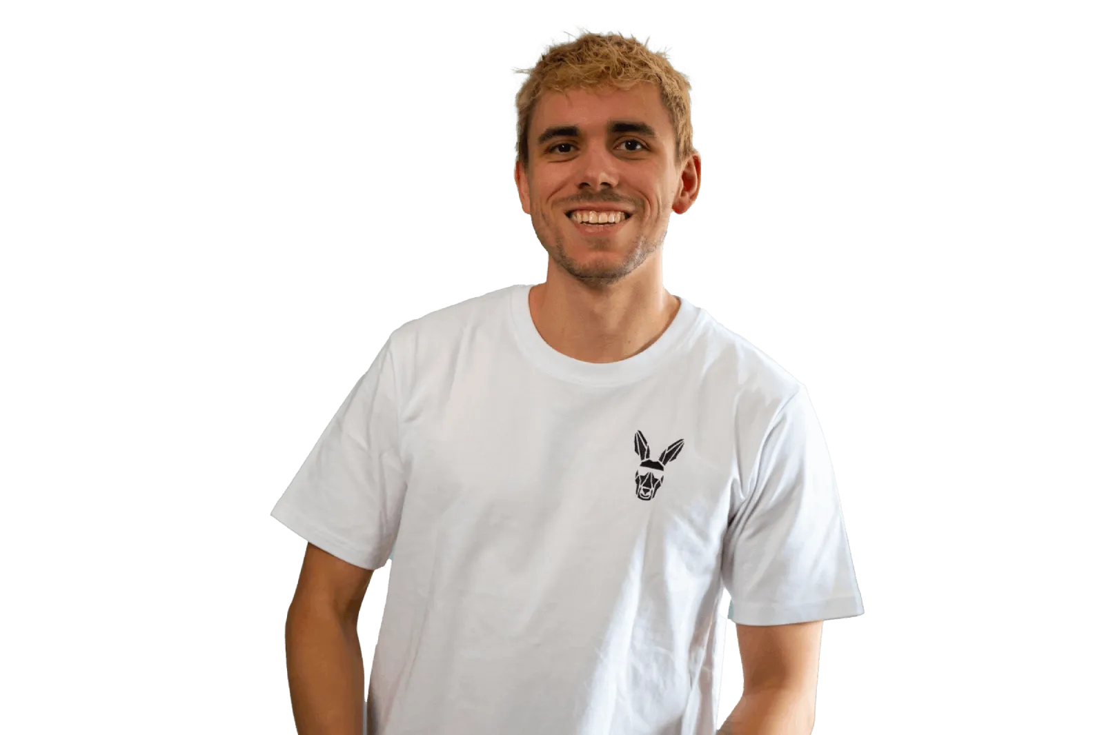 Team Louis image